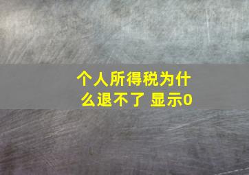 个人所得税为什么退不了 显示0